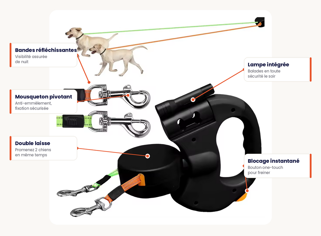 Laisse Double Ergonomique LED